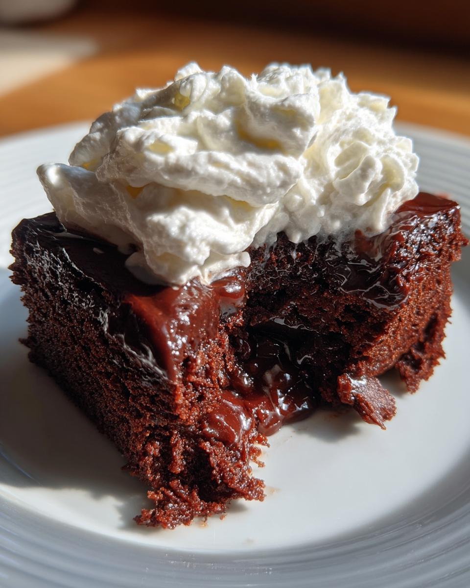 Mississippi Mud Cake - detail 1